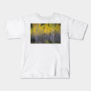 Aspen Forest Autumn Colors Kids T-Shirt